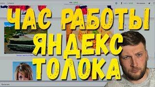 Час работы в Яндекс Толока. Сколько заработал!?