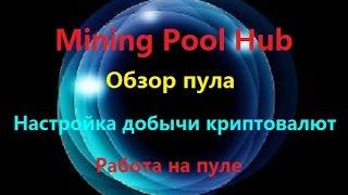 Mining Pool Hub - настройка добычи криптовалюты