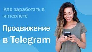 Как новичку заработать в интернете? Продвижение каналов в Telegram