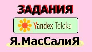 Заработок в интернете без вложений Яндекс Толока Я Массалия