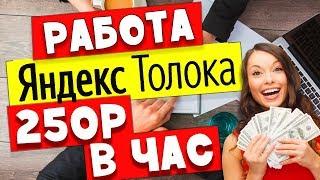Заработок в интернете 250 рублей в час . Яндекс Толока