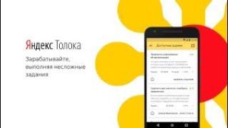 ЯНДЕКС ТОЛОКА КАК ЗАРАБОТАТЬ?