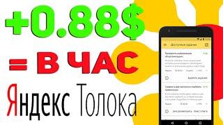 Сколько можно заработать в Яндекс Толоке | Реальный заработок в Толоке