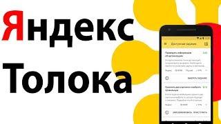 Яндекс толока выполнение заданий. Реальный способ заработать!