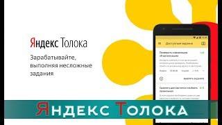 Яндекс Толока - обзор, как работать и сколько зарабатывать?