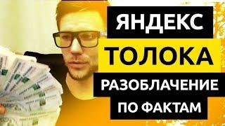 Работа в Яндекс Толока — мое РАЗОБЛАЧЕНИЕ (вся правда)