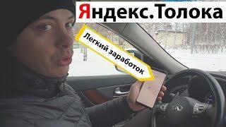 Сколько я заработал на Яндекс ТОЛОКА
